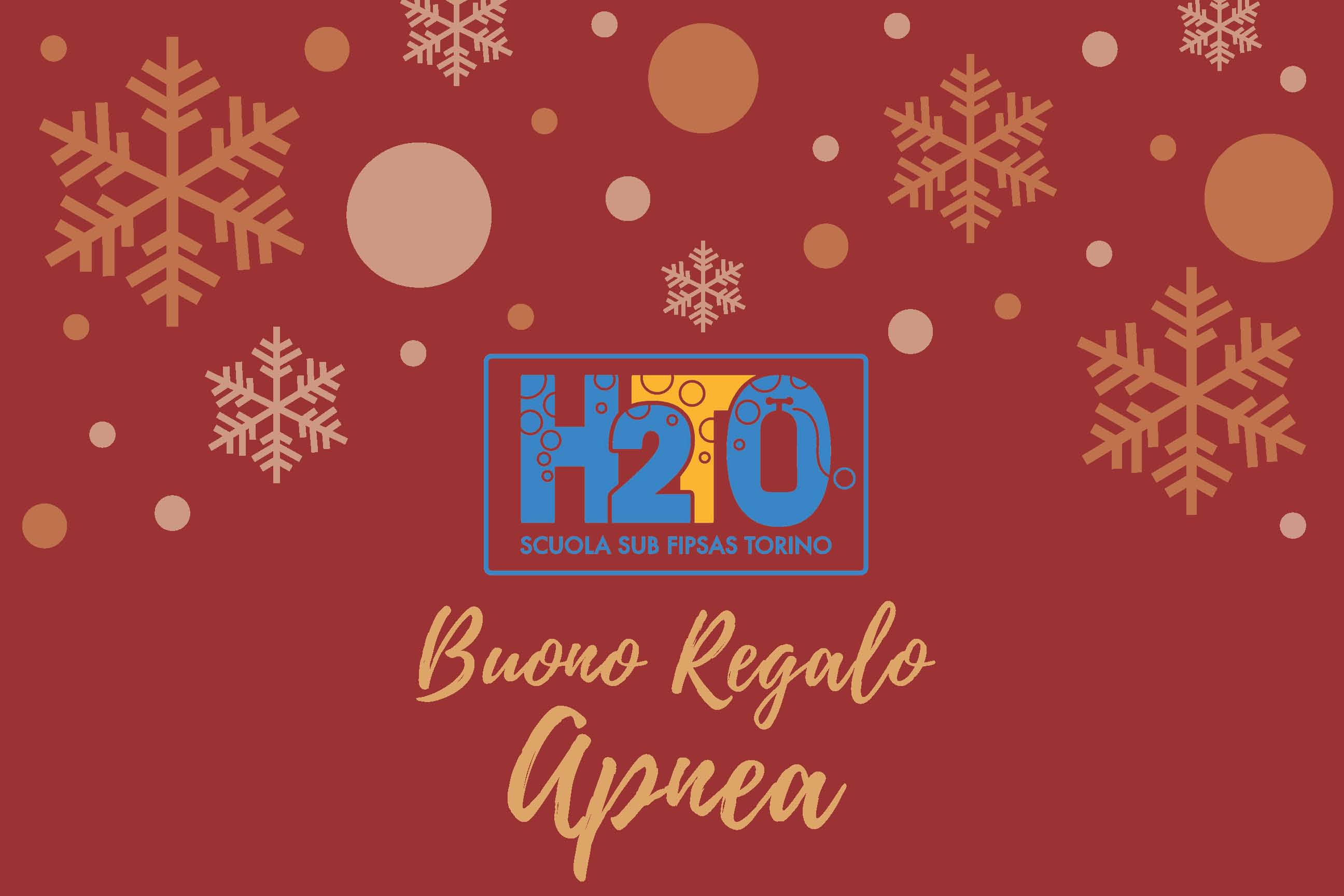 voucher corso apnea turistico