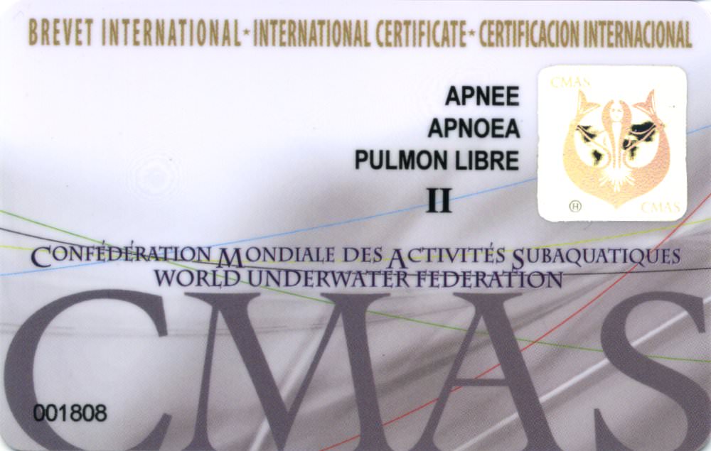 brevetto subacqueo di primo livello